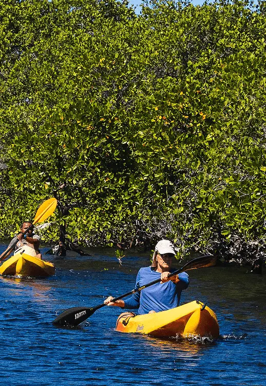 Kayak