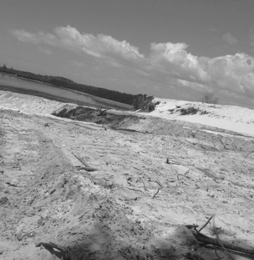 A black and white landscape featuring a sandy area